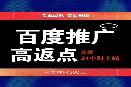 行业领先的SEM竞价广告投放案例